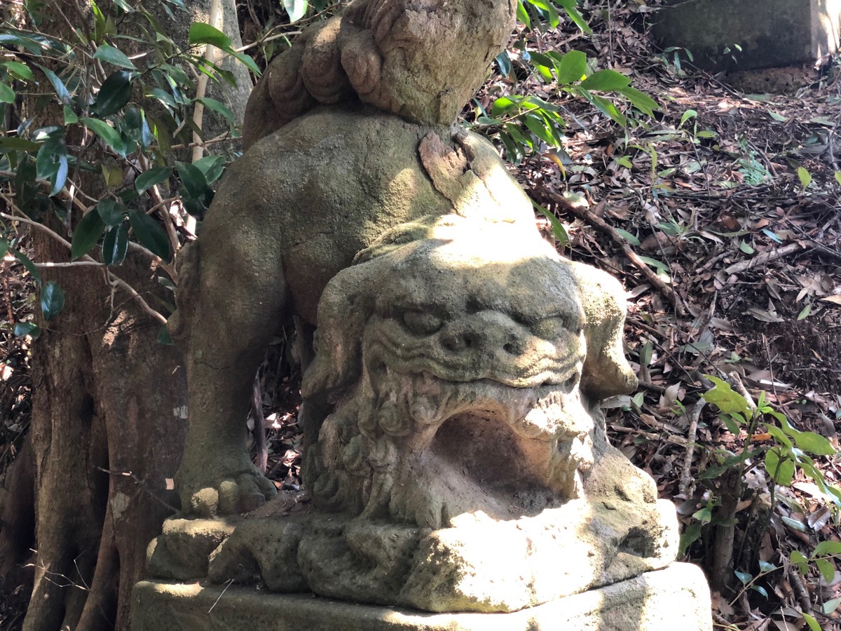 宇賀神社 構えなんだけどかわいい狛犬