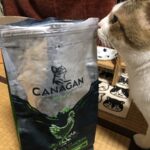 ネコ、カナガンを食べる